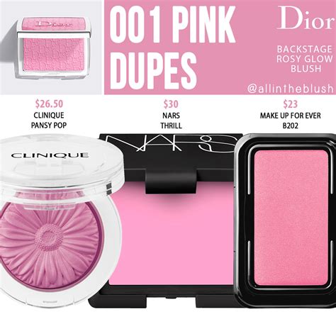 dior backstage blush on|dior backstage blush dupes.